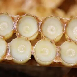 Alternative view of Arifoglu Pure Turkish Royal Jelly 40 gr (1.41oz)