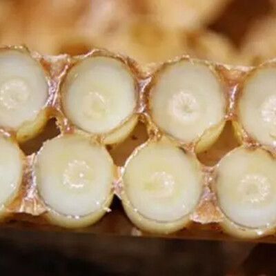 Arifoglu Pure Turkish Royal Jelly 40 gr (1.41oz)