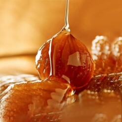 Candied Chestnuts