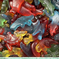 crocodile jelly buy