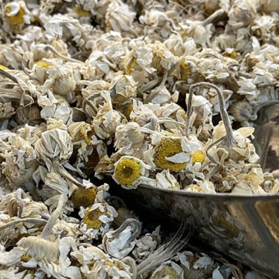 daisy tea buy