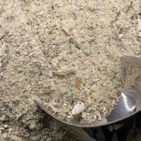 eucalyptus black mulberry tea buy