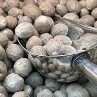 nutmeg