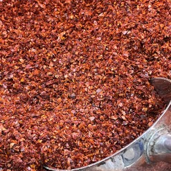 silk chili