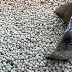 white pepper buy