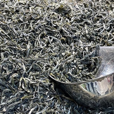 white tea buy