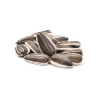 Tugba Raw Sunflower Seeds in Shell 1000 gr (35.28oz)