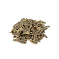 Tugba Salted & Roasted Sunflower Seeds 500 gr (17.64oz)