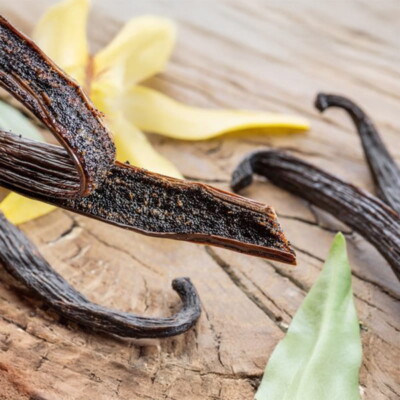 Natural High Aroma Madagascar Vanilla Bean 1 Piece--